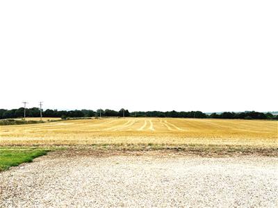 Picture 30